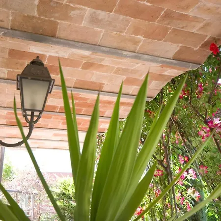 Affittacamere Velia Mare 4*